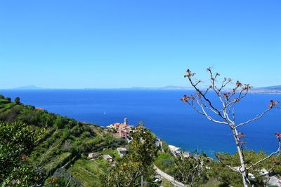 Scenic view of sea against clear blue sky