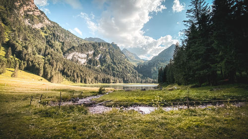 Scenic view of landscape against sky