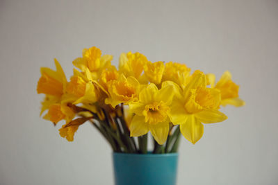 Close-up of yellow flowers on table