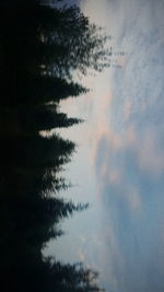 Low angle view of silhouette trees against sky at dusk