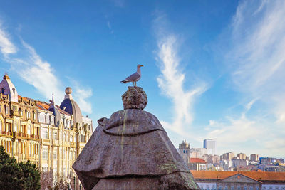 Birds perching on buildings in city against sky