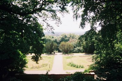 Scenic view of trees against sky