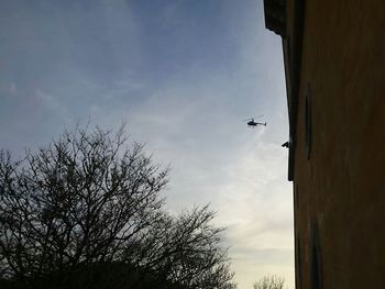 Low angle view of birds flying in sky