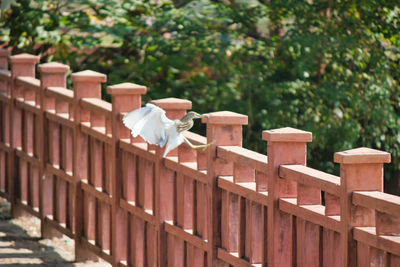 Row of metal railing on field in yard