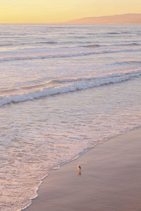 Scenic view of a bird by the sea against sky during sunset