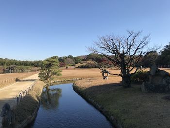 Scenic view of bare trees on field against clear sky