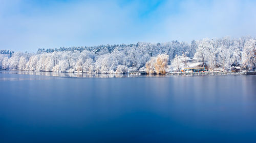 The frozen lake and the snow-covered forest