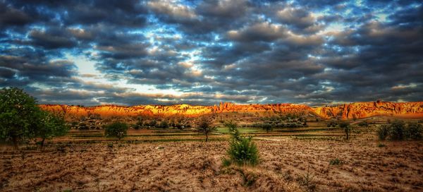 Scenic view of field against sky