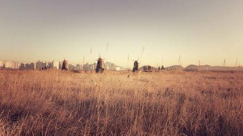 View of windmills on field against sky