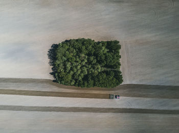 High angle view of trees and plants on land