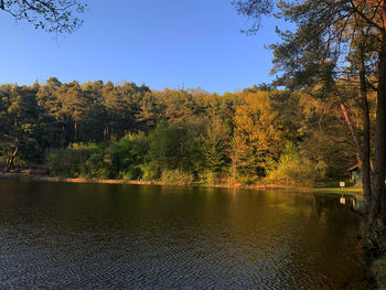 Scenic view of lake in forest against clear sky