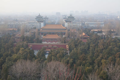 Buildings in city