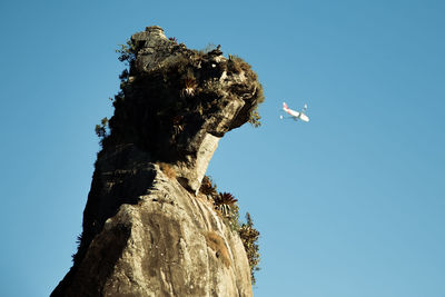 Low angle view of bird on rock against clear blue sky