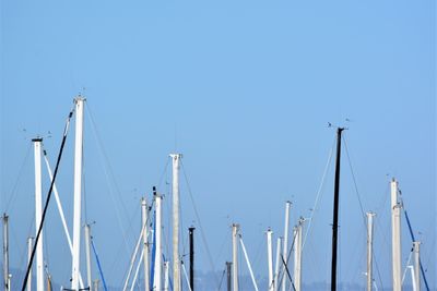 Sailboats in harbor against clear blue sky