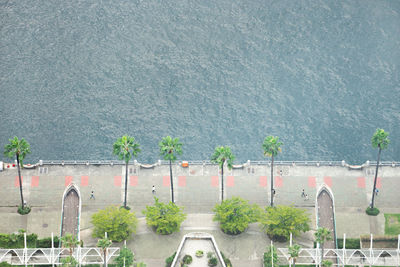 Aerial view of trees at promenade by sea