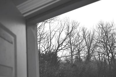 Bare trees against sky seen through window