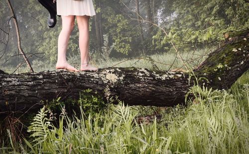 Low section of person standing in forest