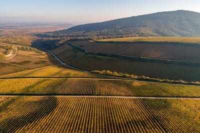 High angle view of agricultural field against sky