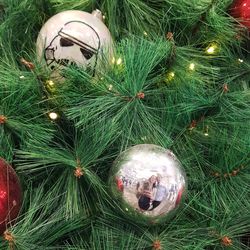 Close-up of illuminated christmas tree