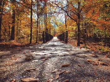 Dirt road amidst trees in forest during autumn