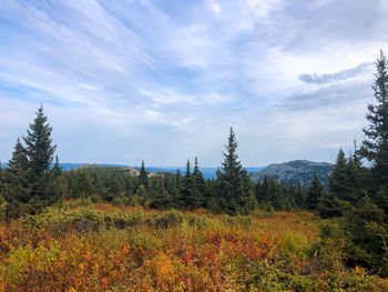 Scenic view of landscape against sky