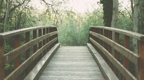 Wooden footbridge in forest