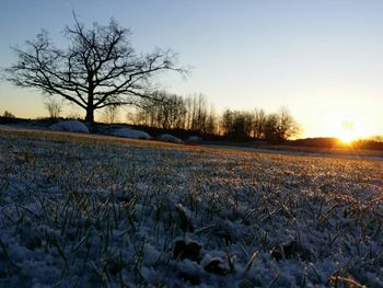 Scenic view of landscape against sky during sunset
