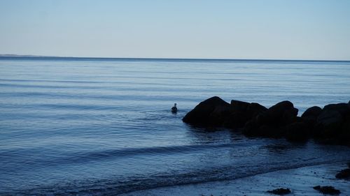 Scenic view of sea against clear sky