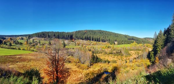Scenic view of landscape against clear blue sky