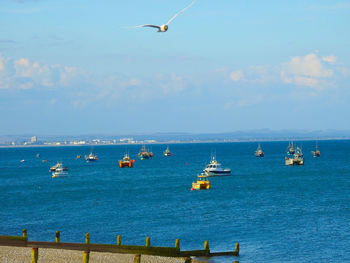 View of birds flying over sea