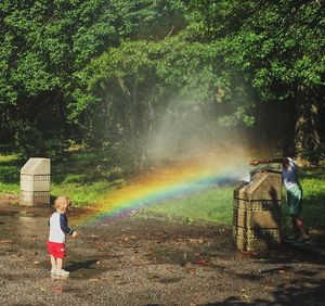 Man standing on rainbow over trees