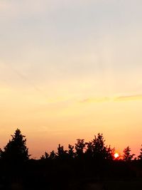 Silhouette of trees at sunset