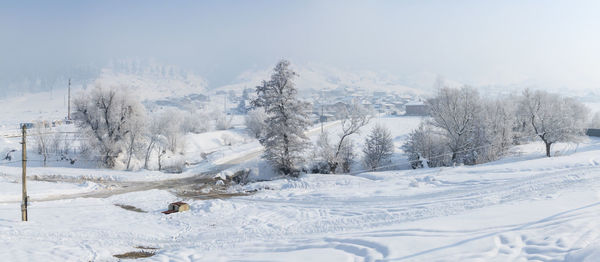 Trees on snow covered mountain against sky