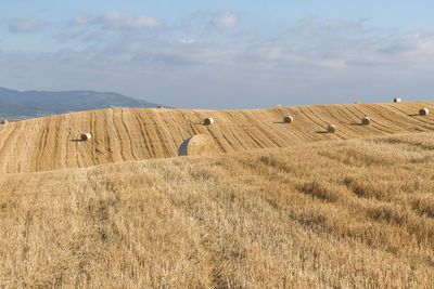 Hay bales on field against sky