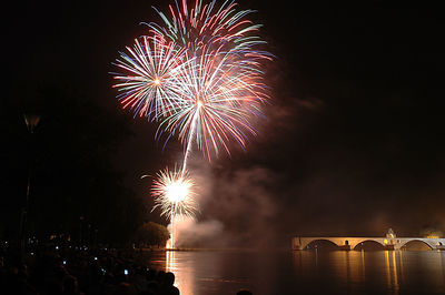 Firework display at night