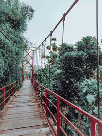 Footbridge amidst trees in forest against sky