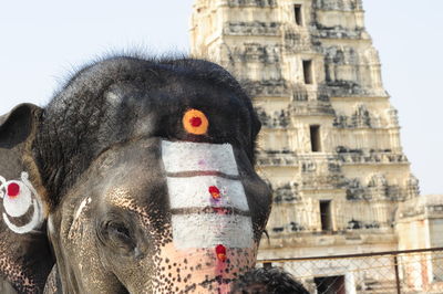 Close-up of statue in temple