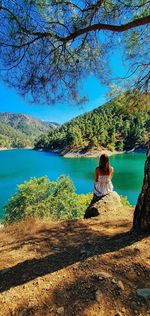 Rear view of woman sitting by lake against trees