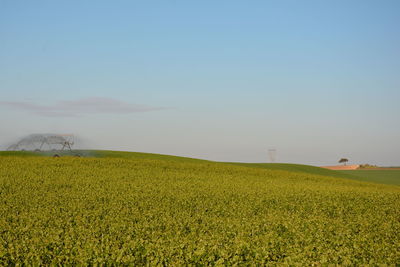 Scenic view of oilseed rape field against sky