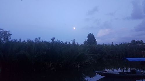 Scenic view of trees against sky at night