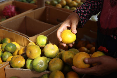 Cropped image of hand holding apples at market stall