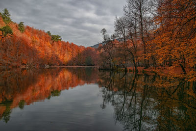 Scenic view of lake by trees during autumn