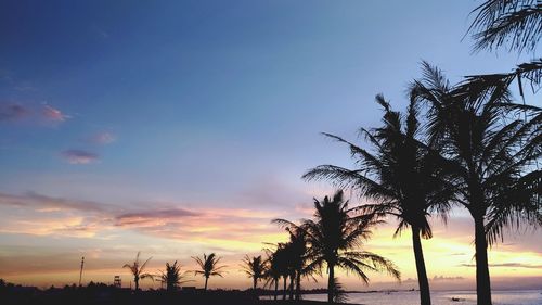 Silhouette palm trees on beach against sky at sunset