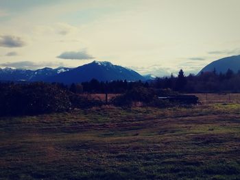 Scenic view of field against sky