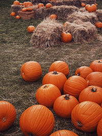 Full frame shot of pumpkins