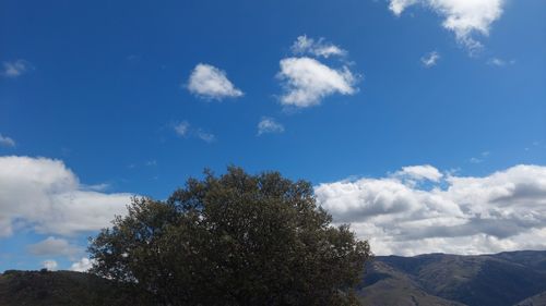 sky
