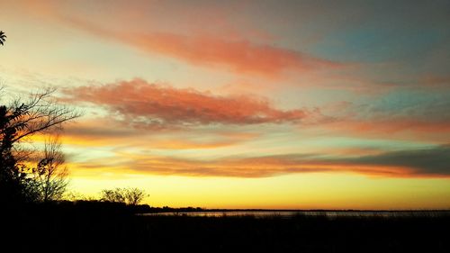 Silhouette of trees at sunset