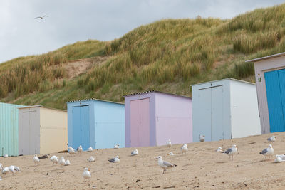 Beach huts in texel, the netherlands