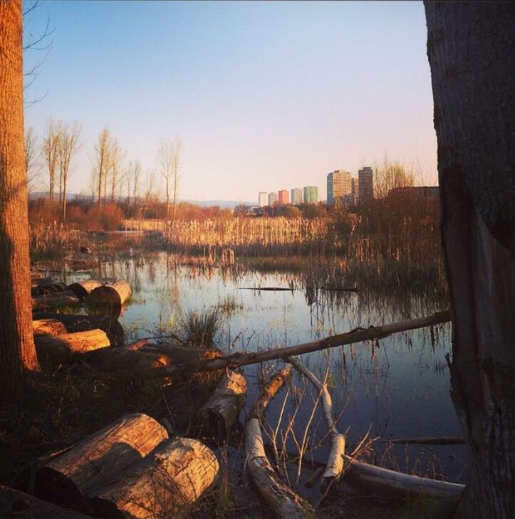 LAKE IN CITY AGAINST CLEAR SKY