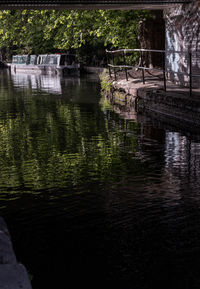 reflection